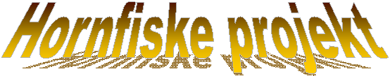Hornfiske projekt